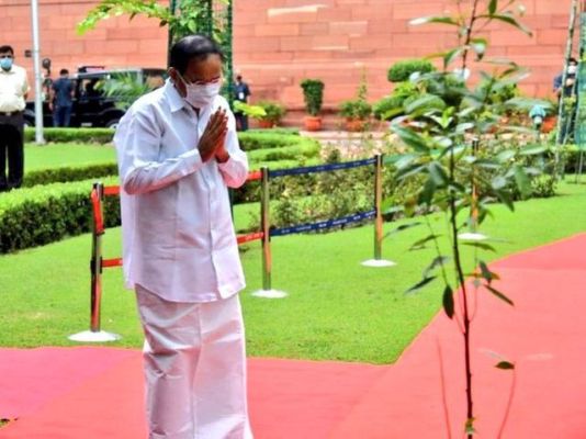 Venkaiah Naidu completes 3 years as vice-president, plants ‘Radraksh’ sapling to mark the occassion