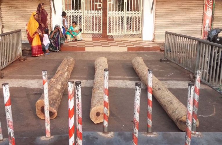 ଘୋଷଯାତ୍ରା: ଶ୍ରୀପଞ୍ଚମୀରେ ଅନୁକୂଳ ହେଲା ରଥ କାଠ